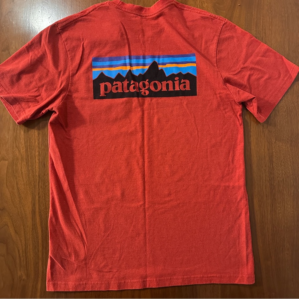 Patagonia pocket tee